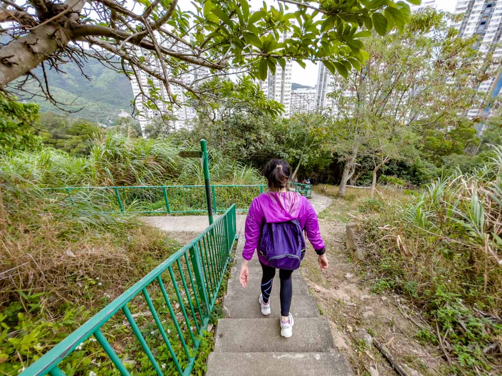 wilson triail section 3 to stui lam tseung Kwan o hong kong - laugh travel eat