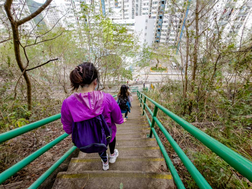 wilson triail section 3 to stui lam tseung Kwan o hong kong - laugh travel eat