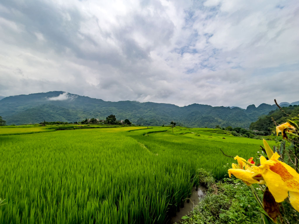 trekking cycling trip ba be lake ba be national park Vietnam - laugh travel eat-2
