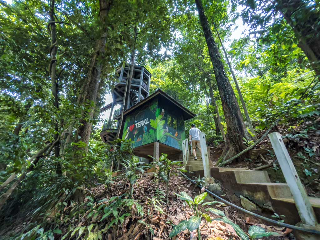 going up to canopy walk KL Eco Forest Park kuala lumpur Malaysia - laugh travel eat