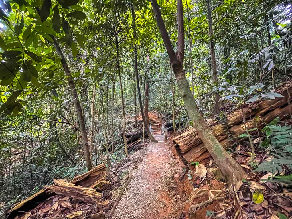 other trails KL Eco Forest Park kuala lumpur Malaysia - laugh travel eat-2