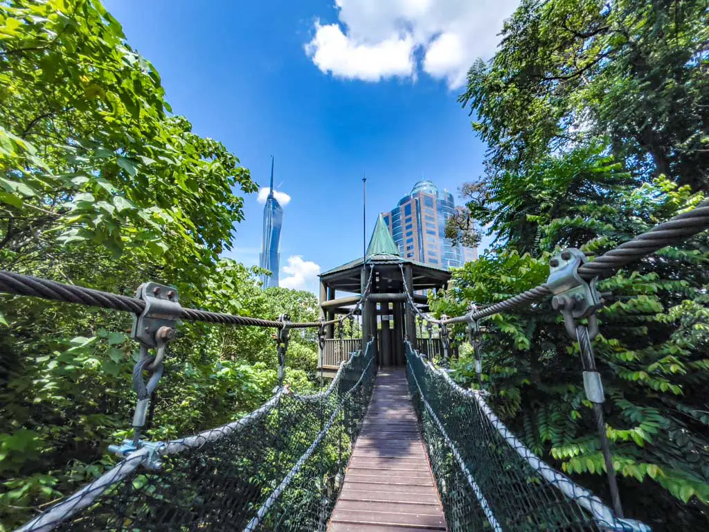views on canopy walk KL Eco Forest Park kuala lumpur Malaysia - laugh travel eat-2