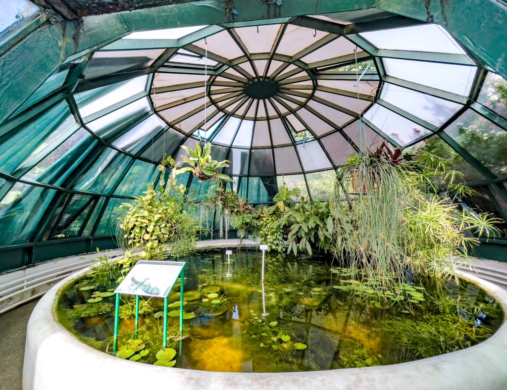 botanical garden zagreb croatia - laugh travel eat