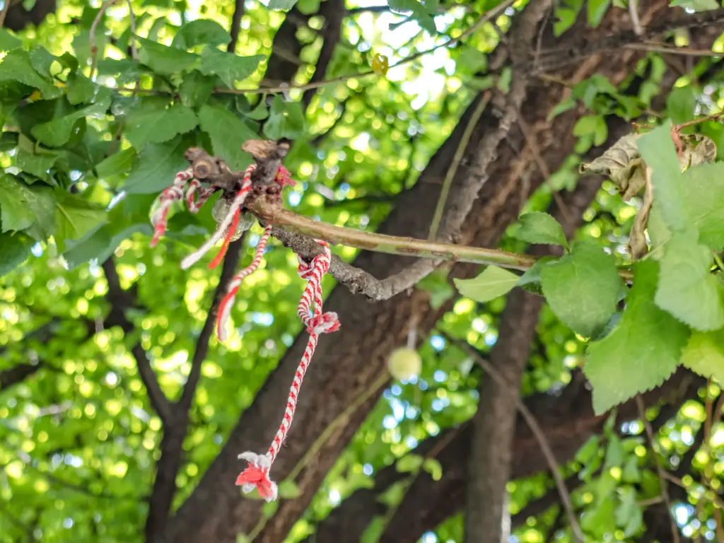 martenitsa on a tree sofia bulgaria - laugh travel eat