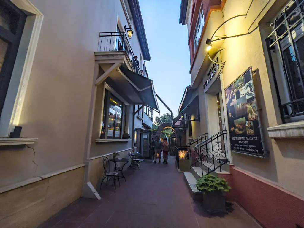 restaurant staria chinar sofia bulgaria - laugh travel eat-3