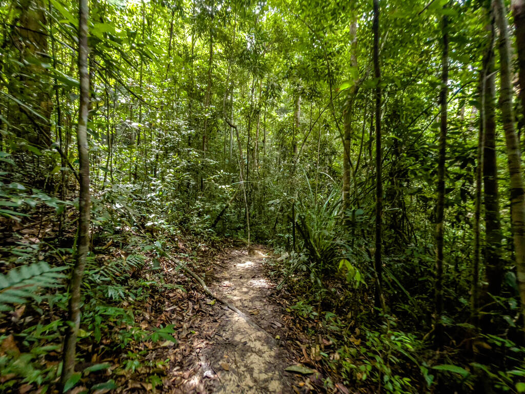 1.5km marker to 2km marker Dragon Crest Mountain Khao Ngon Nak Krabi thailand - laugh travel eat