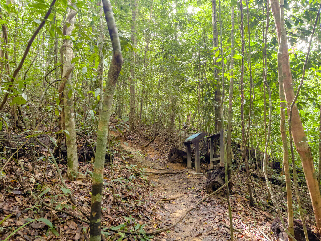 1.5km marker to 2km marker Dragon Crest Mountain Khao Ngon Nak Krabi thailand - laugh travel eat