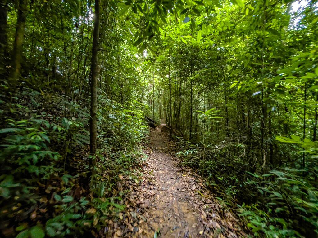 1.5km marker to 2km marker Dragon Crest Mountain Khao Ngon Nak Krabi thailand - laugh travel eat