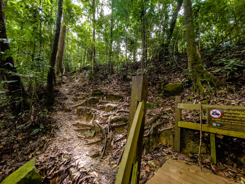 1.5km marker to 2km marker Dragon Crest Mountain Khao Ngon Nak Krabi thailand - laugh travel eat