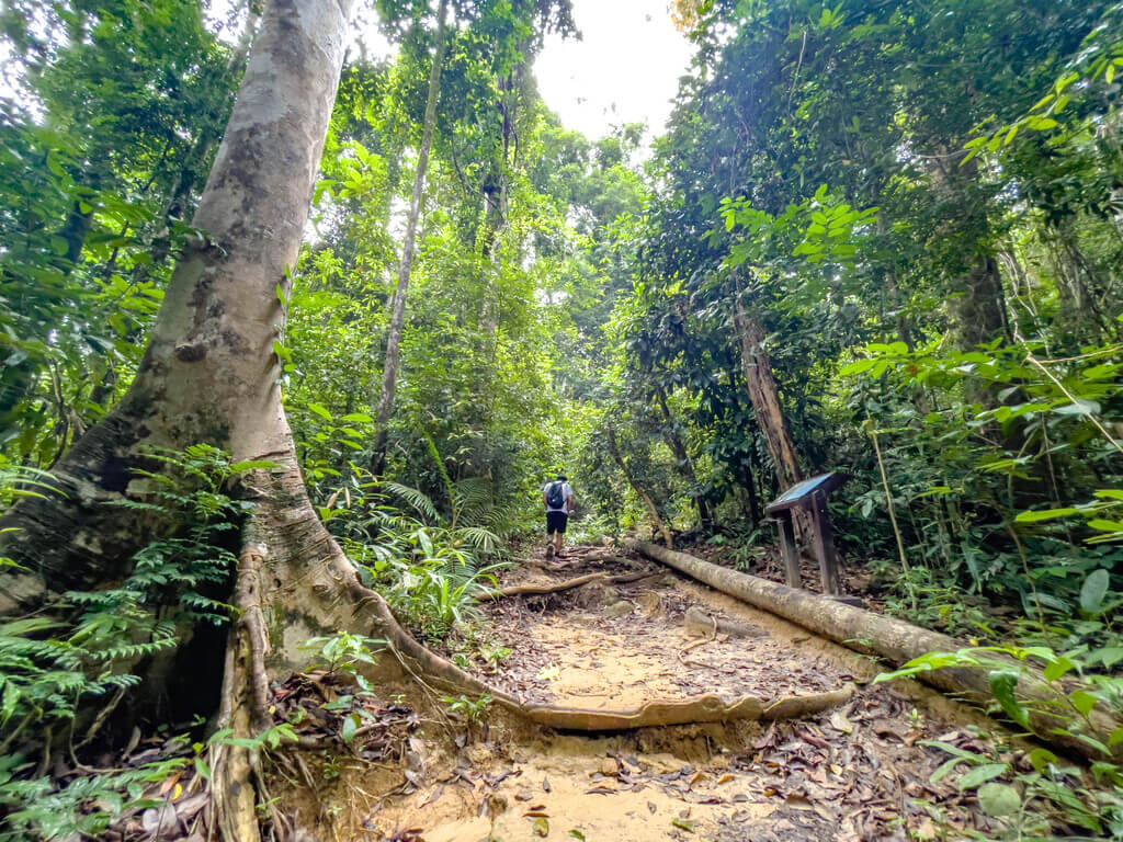 1km marker to first flight of stairs Dragon Crest Mountain Khao Ngon Nak Krabi thailand - laugh travel eat