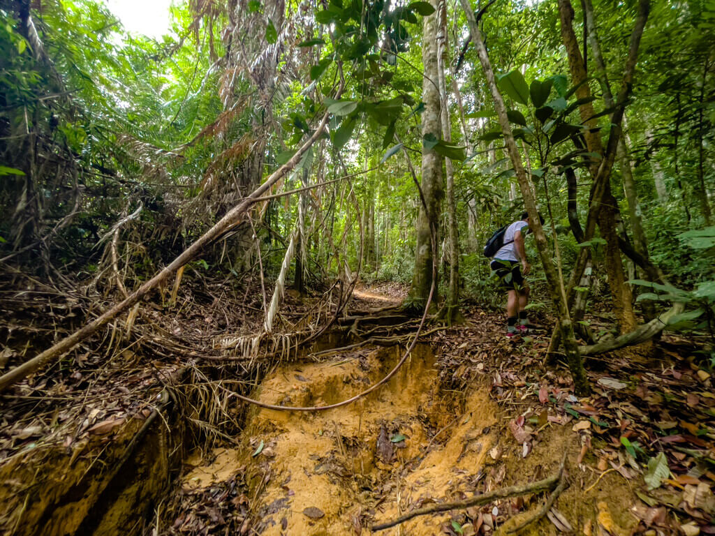 1km marker to first flight of stairs Dragon Crest Mountain Khao Ngon Nak Krabi thailand - laugh travel eat
