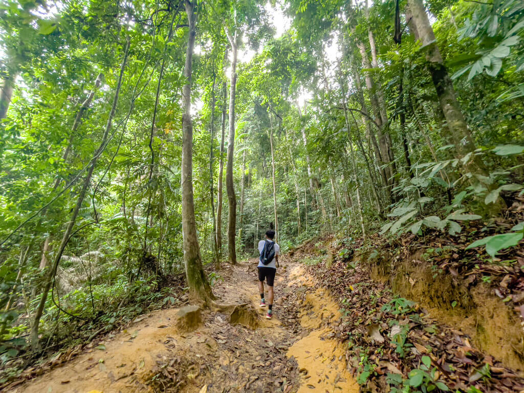 1km marker to first flight of stairs Dragon Crest Mountain Khao Ngon Nak Krabi thailand - laugh travel eat