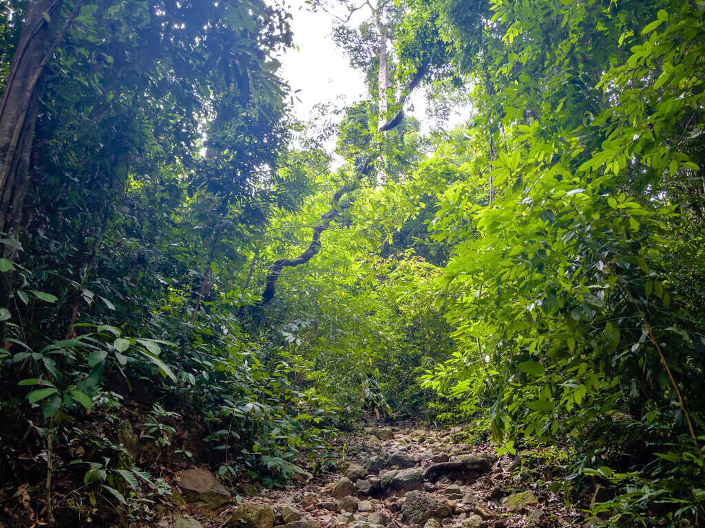 1km marker to first flight of stairs Dragon Crest Mountain Khao Ngon Nak Krabi thailand - laugh travel eat