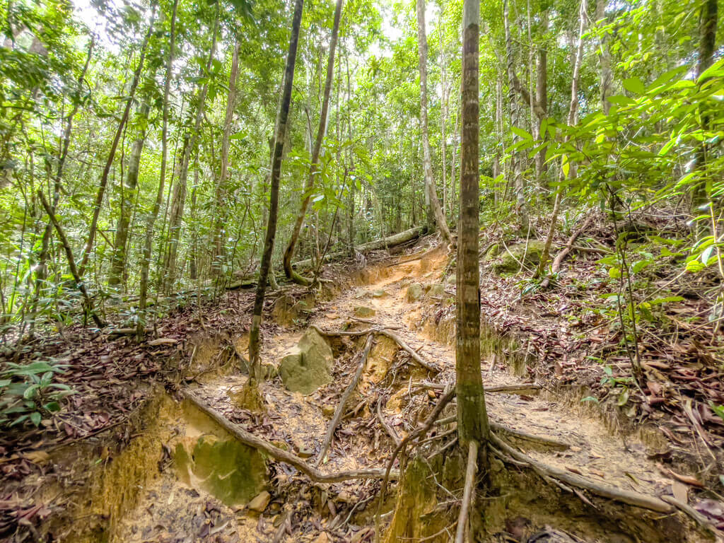 2.5km marker to 3km marker Dragon Crest Mountain Khao Ngon Nak Krabi thailand - laugh travel eat