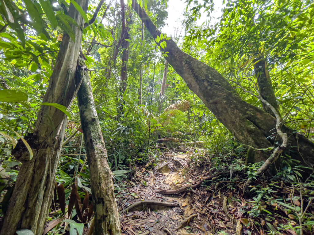 3km marker to big sign close to peak Dragon Crest Mountain Khao Ngon Nak Krabi thailand - laugh travel eat