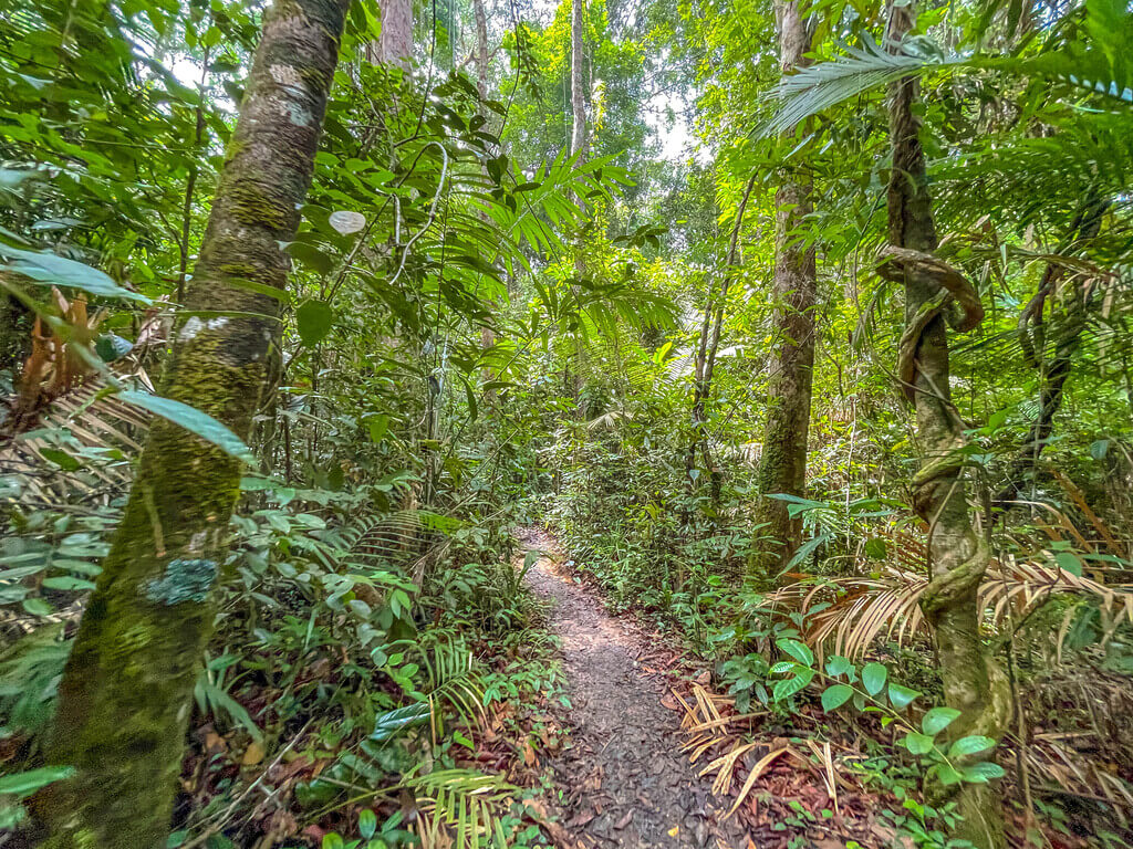 3km marker to big sign close to peak Dragon Crest Mountain Khao Ngon Nak Krabi thailand - laugh travel eat
