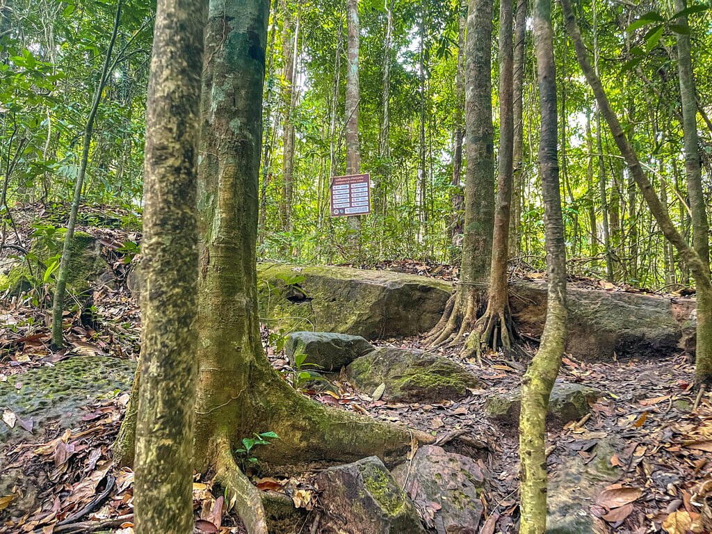 3km marker to big sign close to peak Dragon Crest Mountain Khao Ngon Nak Krabi thailand - laugh travel eat