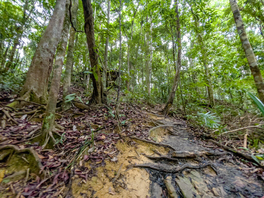 3km marker Dragon Crest Mountain Khao Ngon Nak Krabi thailand - laugh travel eat