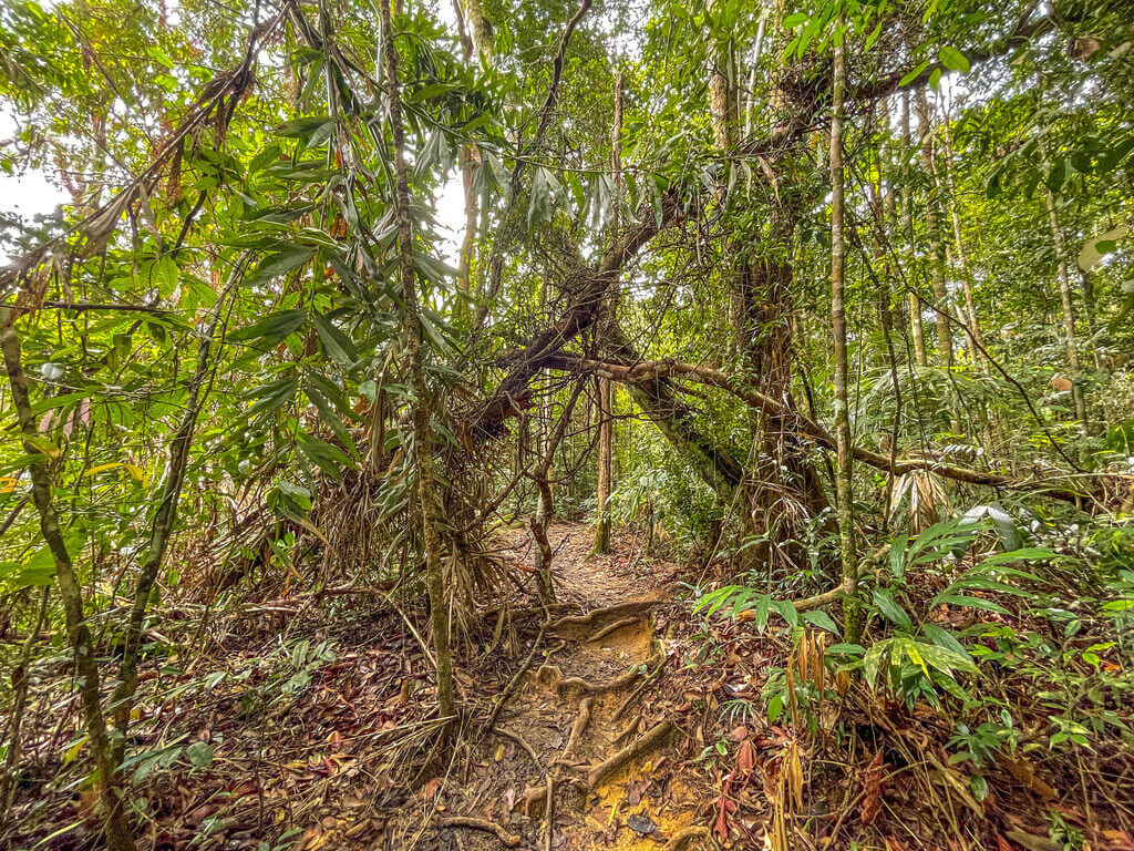 big sign close to peak to 3.5km marker Dragon Crest Mountain Khao Ngon Nak Krabi thailand - laugh travel eat-2