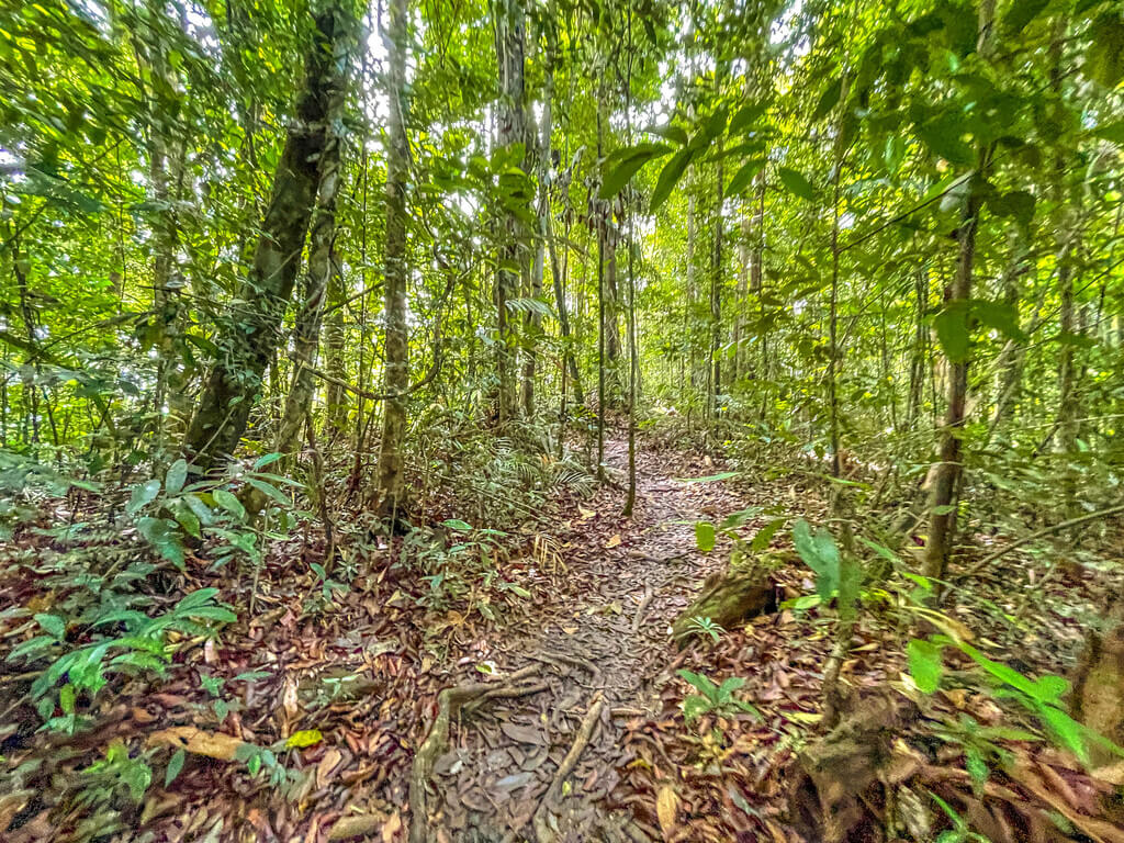 big sign close to peak to 3.5km marker Dragon Crest Mountain Khao Ngon Nak Krabi thailand - laugh travel eat