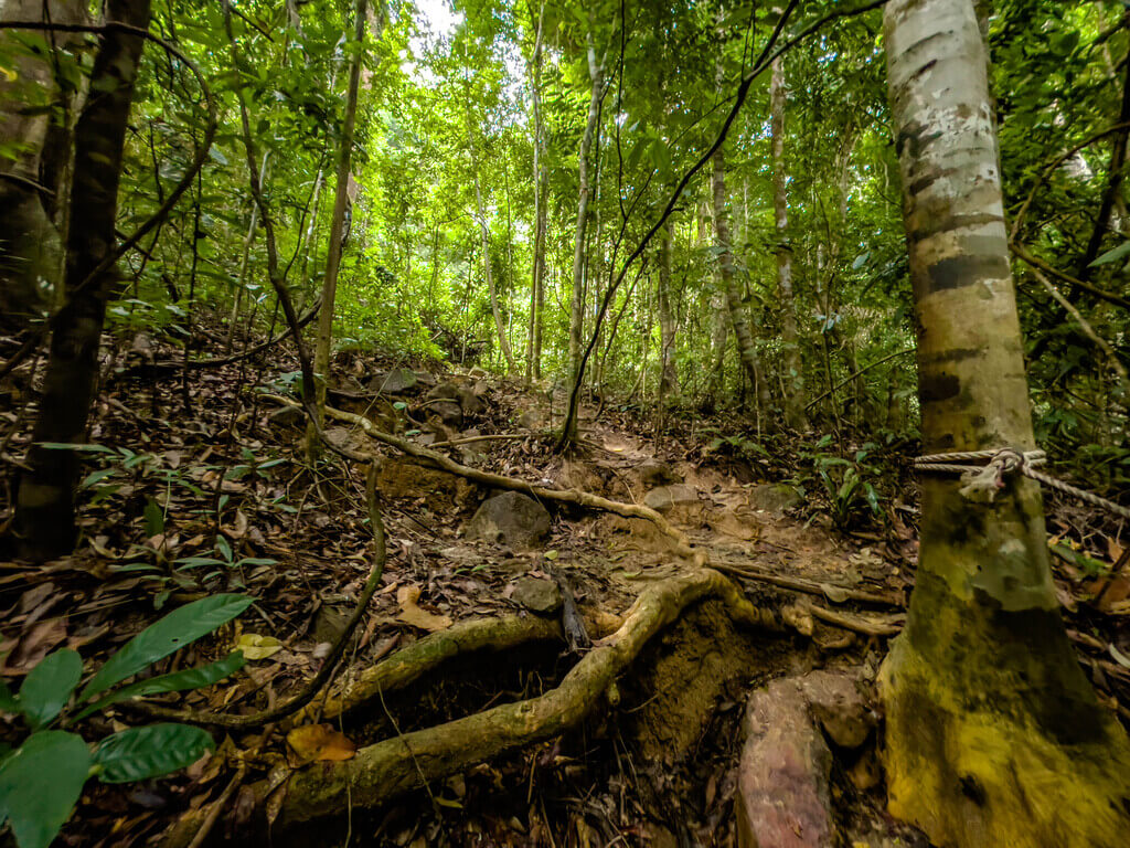first flight of stairs to 1.5km marker Dragon Crest Mountain Khao Ngon Nak Krabi thailand - laugh travel eat