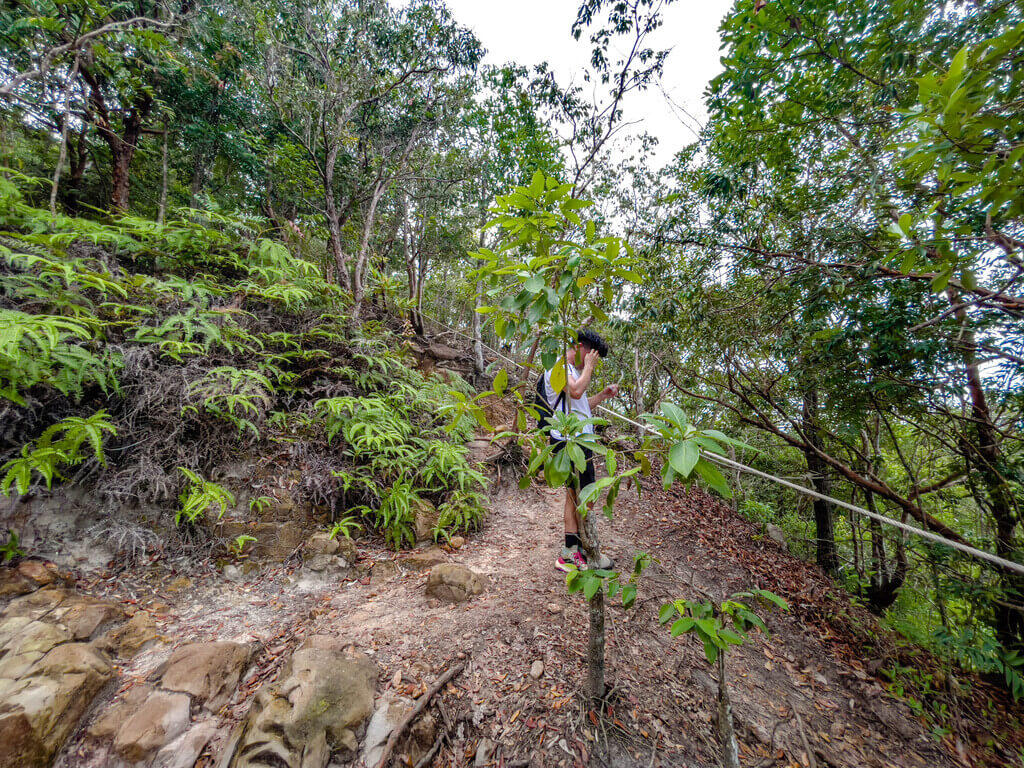 first glimpse of view to tree view 2km to 2.5km marker Dragon Crest Mountain Khao Ngon Nak Krabi thailand - laugh travel eat