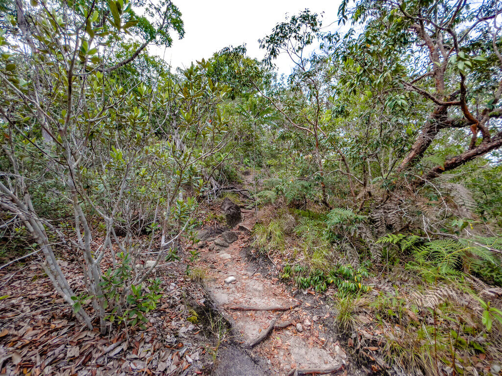 first scenic point to second scenic point Dragon Crest Mountain Khao Ngon Nak Krabi thailand - laugh travel eat