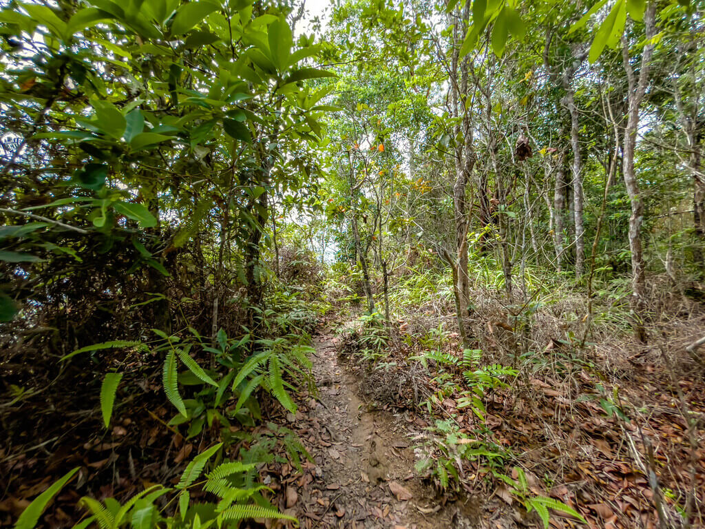 first scenic point to second scenic point Dragon Crest Mountain Khao Ngon Nak Krabi thailand - laugh travel eat
