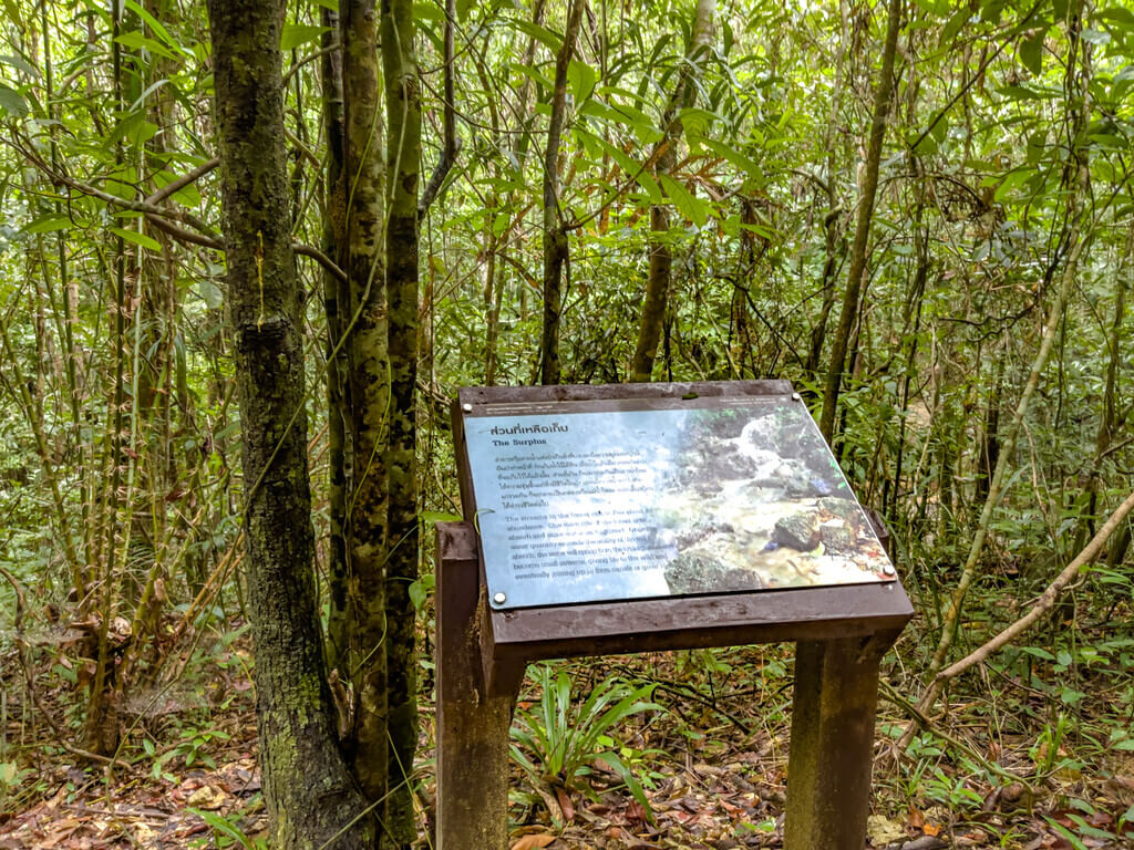 trail start to first big signpost Dragon Crest Mountain Khao Ngon Nak Krabi thailand - laugh travel eat