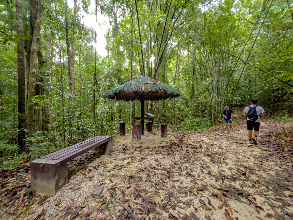 trail start to first big signpost Dragon Crest Mountain Khao Ngon Nak Krabi thailand - laugh travel eat