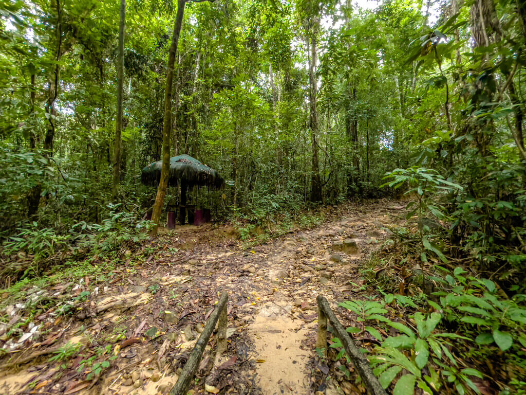 trail start to first big signpost Dragon Crest Mountain Khao Ngon Nak Krabi thailand - laugh travel eat