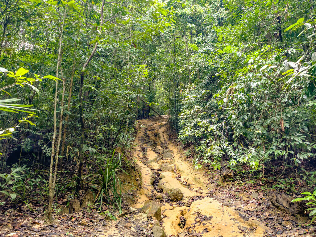 trail start to first big signpost Dragon Crest Mountain Khao Ngon Nak Krabi thailand - laugh travel eat