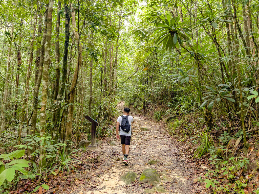 trail start to first big signpost Dragon Crest Mountain Khao Ngon Nak Krabi thailand - laugh travel eat