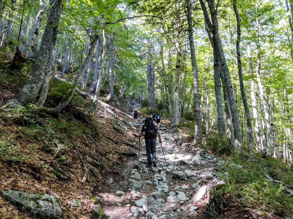 Gortsia Trail Start to Refuge of Petrostrouga mount olympus litochoro greece - laugh travel eat