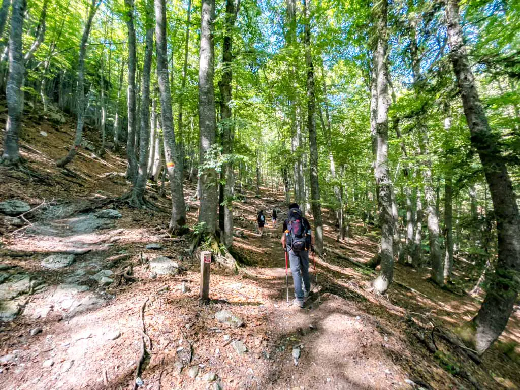 Gortsia Trail Start to Refuge of Petrostrouga mount olympus litochoro greece - laugh travel eat