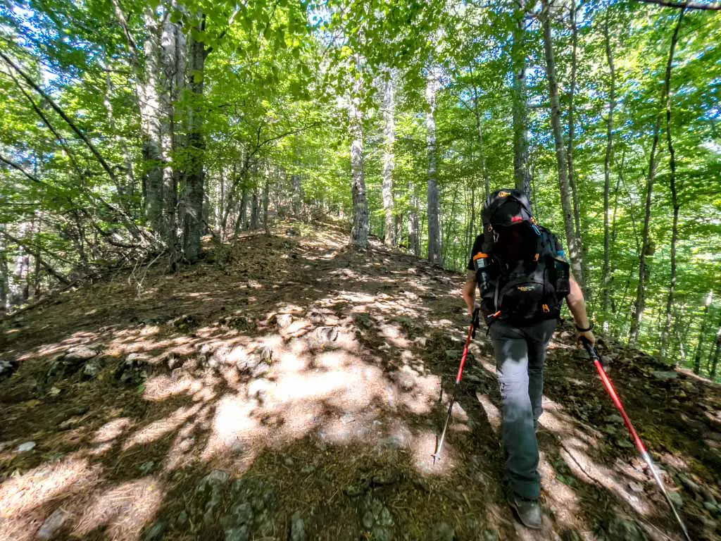 Gortsia Trail Start to Refuge of Petrostrouga mount olympus litochoro greece - laugh travel eat