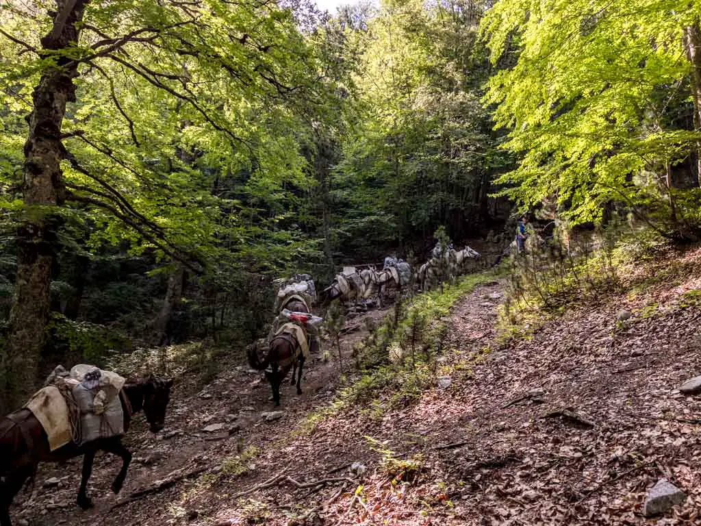 descent mount olympus litochoro greece - laugh travel eat-7