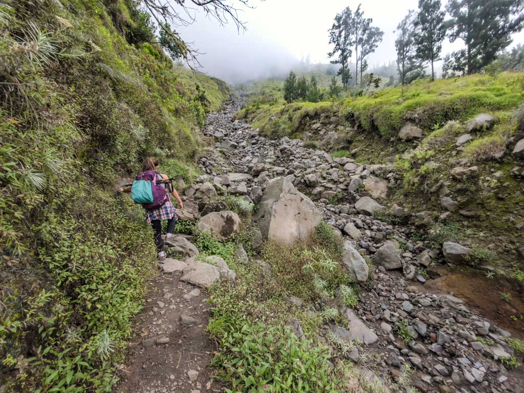 campsite sembalun to crater lake mount rinjani trek lombok indonesia - laugh travel eat