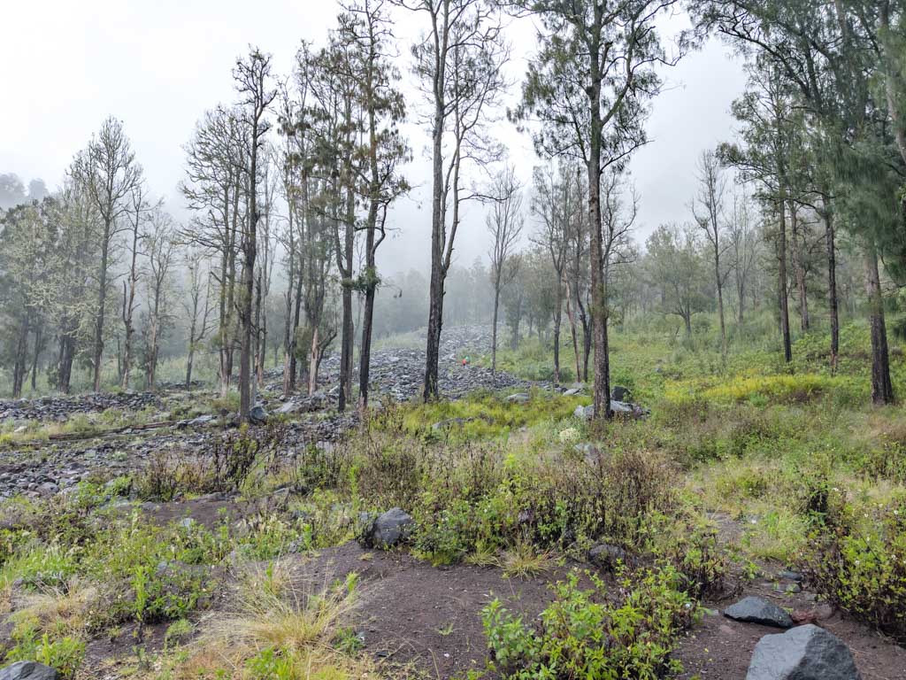 crater lake to senaru route campsite mount rinjani trek lombok indonesia - laugh travel eat