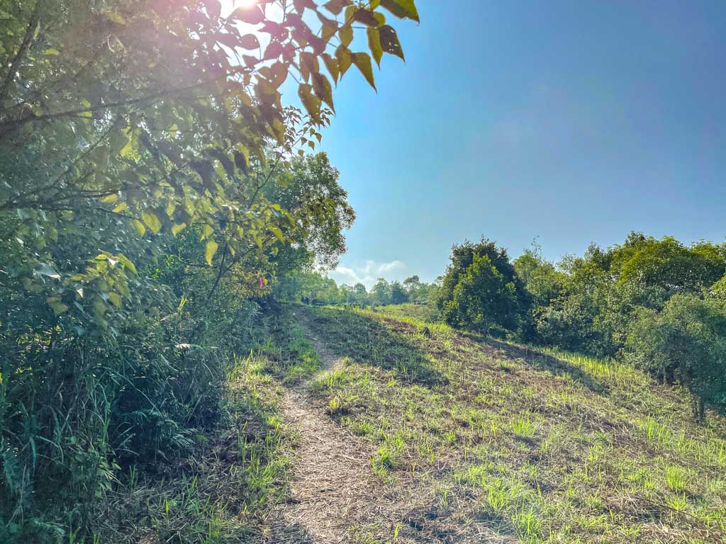dinosaur egg cluster to sam pak shan easter island rock hike lantau island hong kong - laugh travel eat