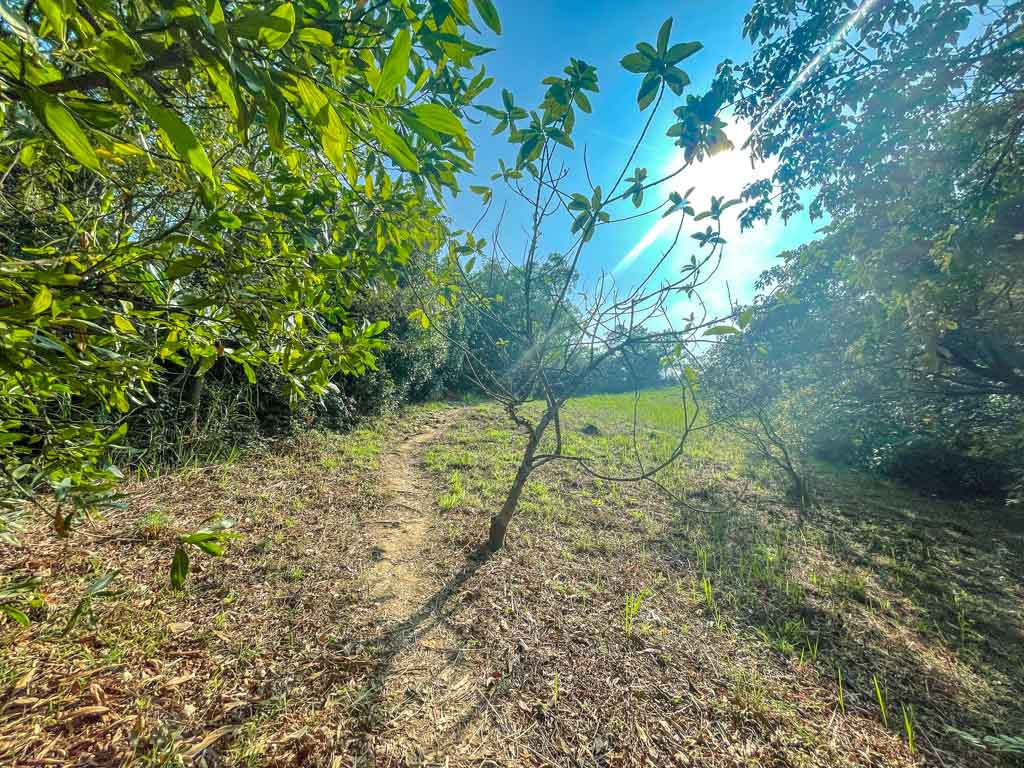 dinosaur egg cluster to sam pak shan easter island rock hike lantau island hong kong - laugh travel eat