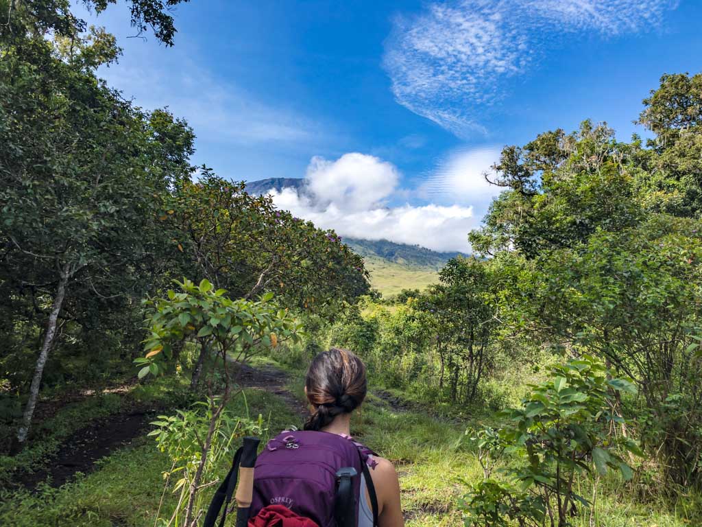 entrance to bridge sembalun route mount rinjani trek lombok indonesia - laugh travel eat
