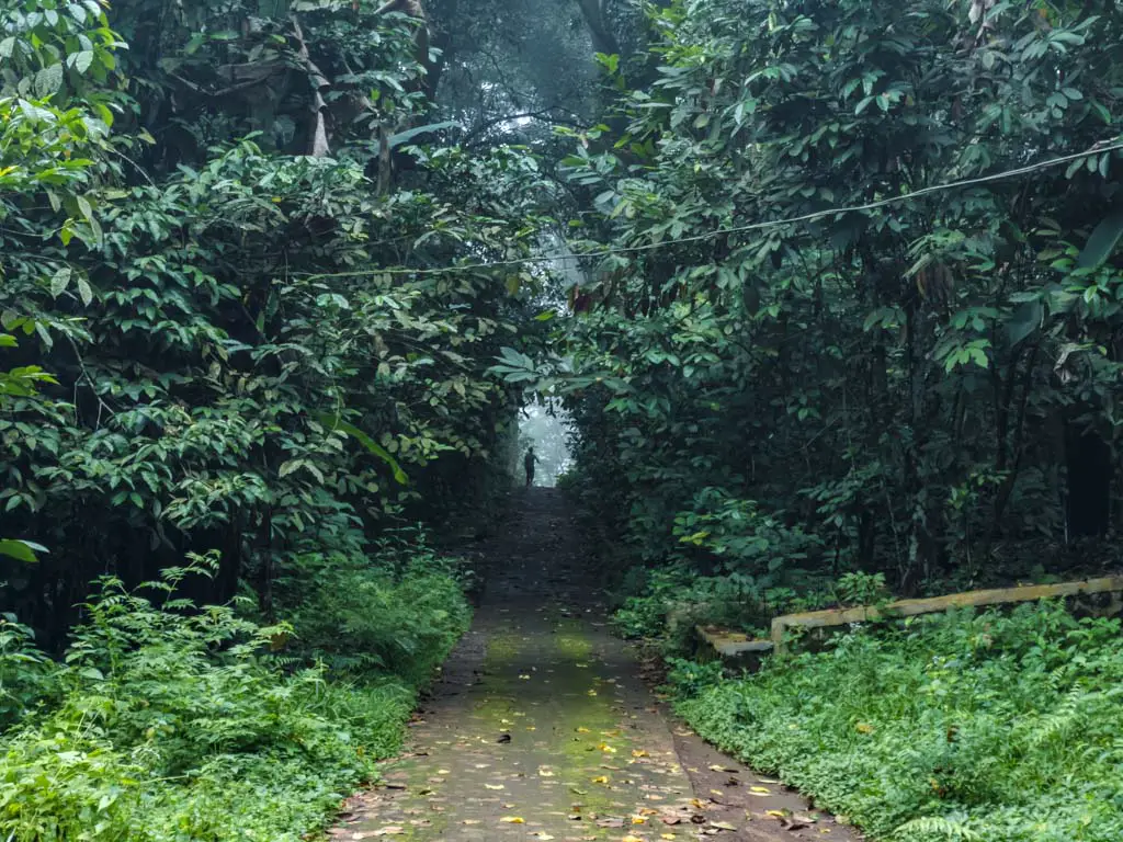 final exit senaru route mount rinjani trek lombok indonesia - laugh travel eat