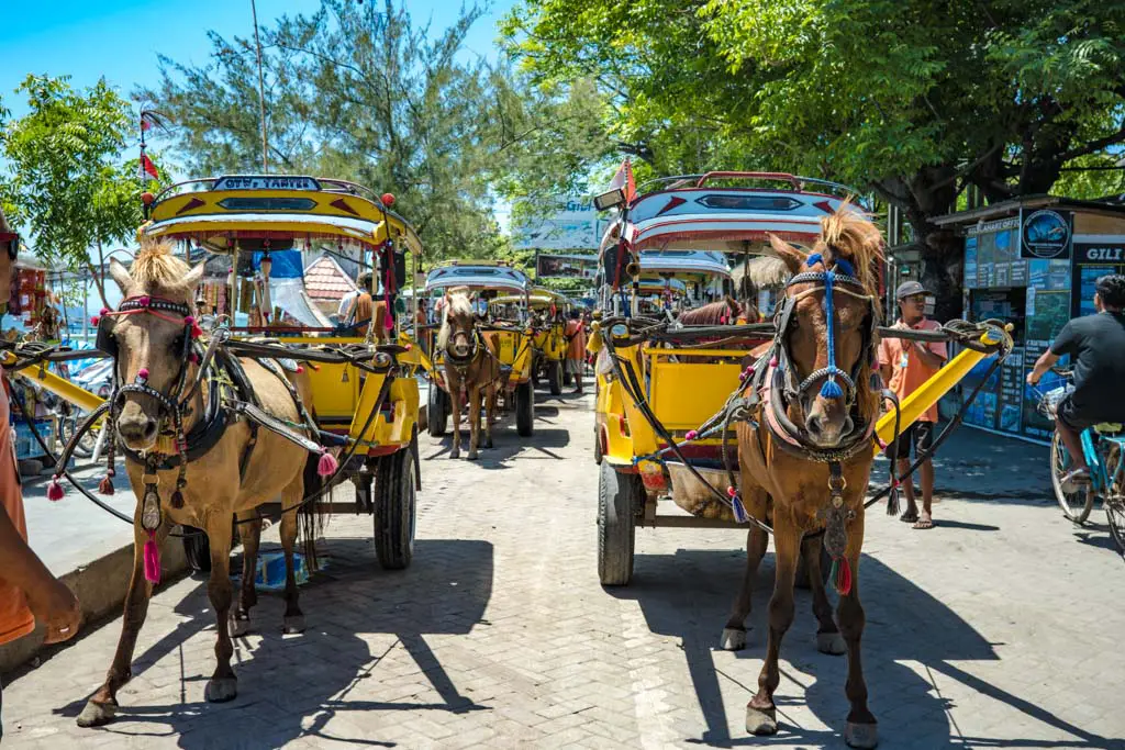 horse carts gili trawangan lombok indonesia - laugh travel eat