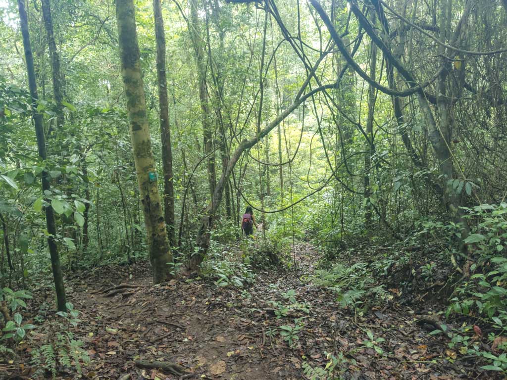 pos 1 to gate senaru route mount rinjani trek lombok indonesia - laugh travel eat