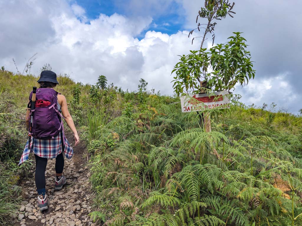 pos 1 to pos 2 sembalun route mount rinjani trek lombok indonesia - laugh travel eat-2