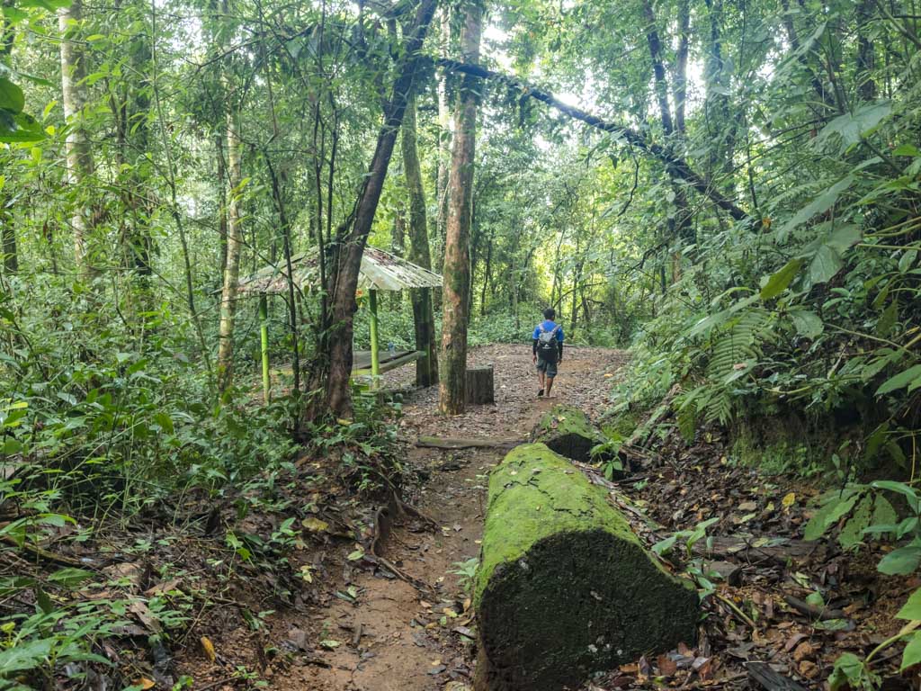 pos 2 to pos 1 senaru route mount rinjani trek lombok indonesia - laugh travel eat-3