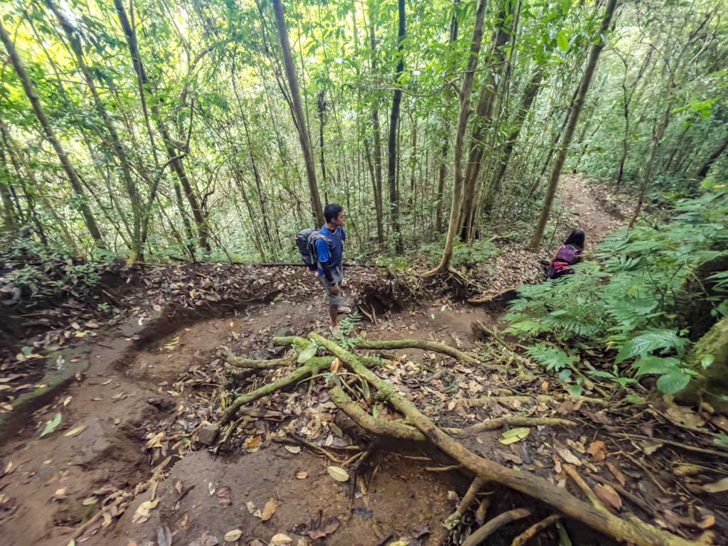 pos 2 to pos 1 senaru route mount rinjani trek lombok indonesia - laugh travel eat