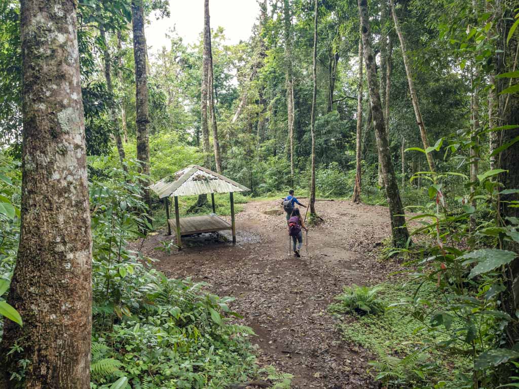 pos 3 to pos 2 senaru route mount rinjani trek lombok indonesia - laugh travel eat