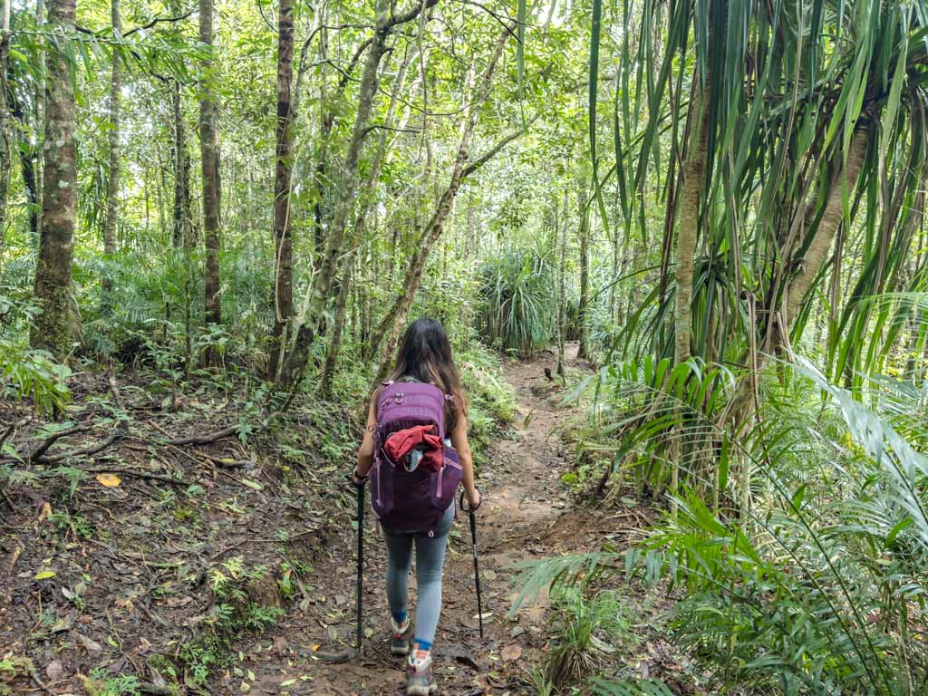 pos 3 to pos 2 senaru route mount rinjani trek lombok indonesia - laugh travel eat